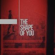 Shape Of You Erwin Levi