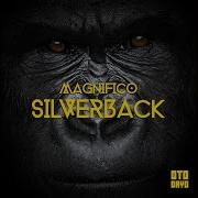 Magnifico Silverback