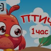 Птички Птички Песенки Поют