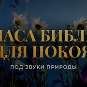 2 Часа Библии Под Звуки Природы Современный Перевод Библии Biblevision