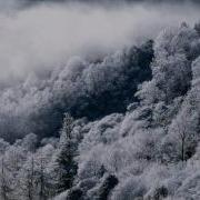На Ветру Дрожат Воздышные Своды Би 2