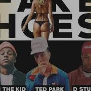 Ted Park Fake Hoes Feat Rich The Kid D Stunna