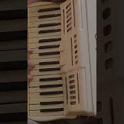 Виновата Ли Я На Аккордеоне