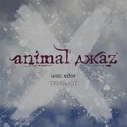 Animal Джаz Думать Дважды Feat Animal Джаz