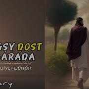 Dost Hakynda Goshgular