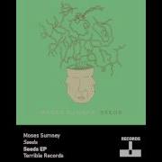 Seeds Moses Sumney