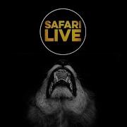 Safarilive Sunrise Safari March 9 2018