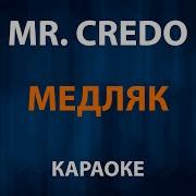 Мистер Кредо Медляк Минус