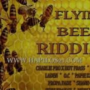 Emudio Records Flying Beez Riddim