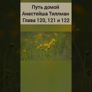 Путь Домой Анастейша 120