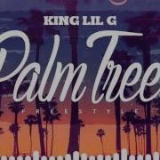 King Lil G Palm Trees Gta Music Video