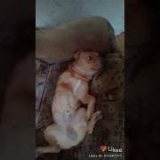 Теперь Повторяй За Мной Повторяй За Мной Я Ещё Не Начала А Прости