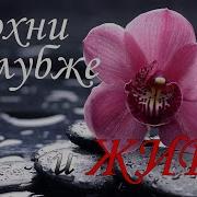 Забей На Всё Не Падай Низко