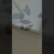 Дома Никого Нету Я Пидорас