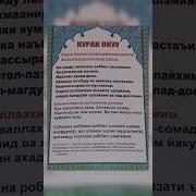 Маркумга Дуба Кылуу