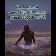 Путь Домой Анастейша Тиллман Глава 535