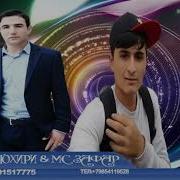 Мс Зафар Ва Хуршеди Тохири