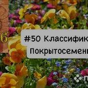 История Аудио Книга 10 Класс Параграф 50