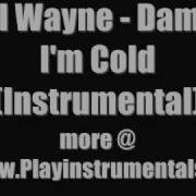 Lil Wayne Damn I M Cold Instrumental Playinstrumentals