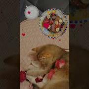 Душистый Кофе Продолженье Рассвета Дает Начало Новым Дням Календаря