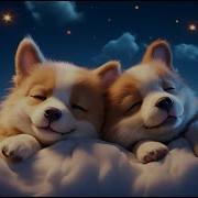 Sweet Dreams Soothing Dog Sounds