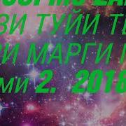 Минус Рузи Туйи