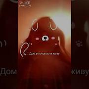 Дурдом Меме