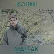 Kolibri Maleak