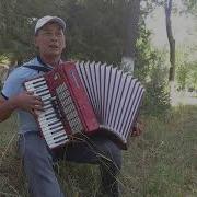 Аксынын Салкын Кечтери