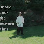 18 Steps Tai Chi Qigong Shibashi