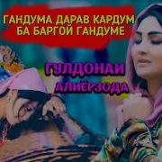 Гашнича Дарав Кардум Бастум Дарза