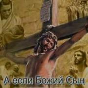 Дети Одной Земли