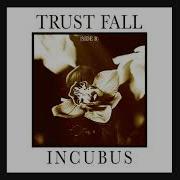 Paper Cuts Incubus