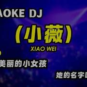 Dj Tik Tok Xiao Wei 小薇 Mamae Karaoke Mix