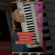 Аккордеон Кайрыктары