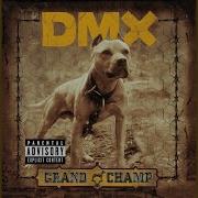 Shot Down Dmx