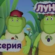 Мы Не Настолько Тупые