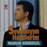 Sevdaliyim Remix