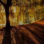 Wrong Way Again Silence Groove