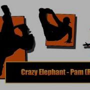 Crazy Elephant Pam Remix