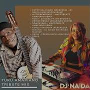 Oliver Mtukudzi Amapiano Tribute Mix Dj Naida Dj Naida