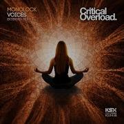 Voices Extended Mix Monolock