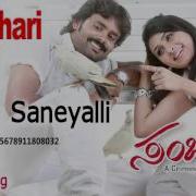 Sanchari Kanna Saneyalli Audio Song Raj Biyanka Desai I Jhankar Music