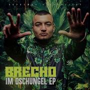 Brecho Egal Wie Feat Hamada