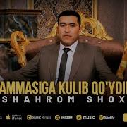 Хаммасига Кулиб Куйдим