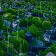 Rain Sounds For Studying