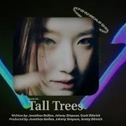 G I Dle Tall Trees Instrumental