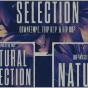 Natural Selection Downtempo Chillout Samples Loops By Loopmasters