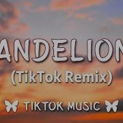 Ruth B Dandelions Tiktok Sped Up Lyrics I See Forever In Your Eyes Smile Smile Tiktok Music