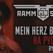 Rammlied Кавер На Русском By Foxy